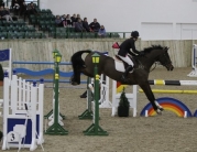 British Showjumping