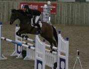 British Showjumping