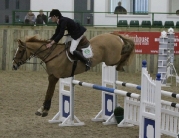 British Showjumping