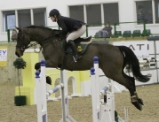 British Showjumping