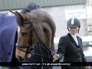 British Showjumping