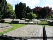 Coronation Garden Beverley