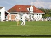 Beverley Cricket