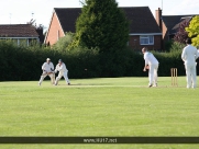 Beverley Cricket