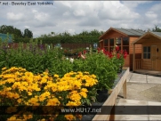 Croft Nurseries Garden Centre