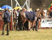 Dalton Park Point-to-Point