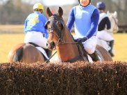 Dalton Park Point-to-Point