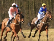 Dalton Park Point-to-Point