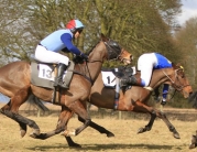 Dalton Park Point-to-Point