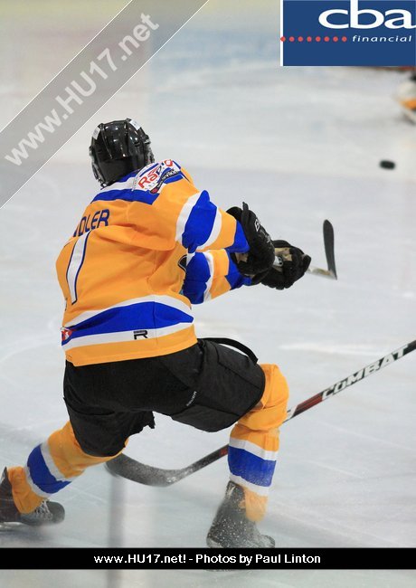 Days Out The Hull Stingrays It’s all about Beverley!