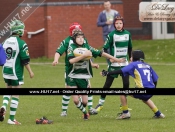 Dockers Retain Curly Cup At Beverley Leisure Centre