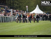 Diamond Jubilee Donkey Derby @ Beverley Racecourse