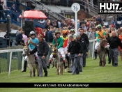 Diamond Jubilee Donkey Derby @ Beverley Racecourse