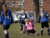 Falcons Beat Hawks At Beverley Leisure Centre