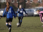 Falcons Beat Hawks At Beverley Leisure Centre