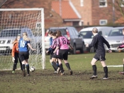 Falcons Beat Hawks At Beverley Leisure Centre