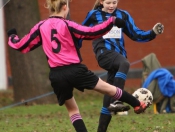 Falcons Win The Derby At Beverley Leisure Centre