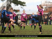 Falcons Win The Derby At Beverley Leisure Centre