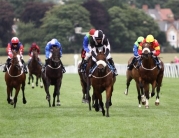 Family Fun Day @ Beverley Racecourse