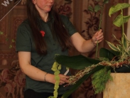 Glenholme Florists Floral Demonstration