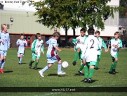 AFC Tickton Vs North Ferriby Utd