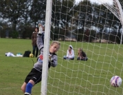 Molescroft Terriers Vs Courts FC