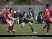 Beverley RUFC