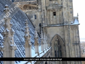 Friday Up On Beverley Minster Roof