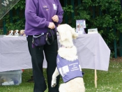 Great Day Out @ St Nicholas School Fete