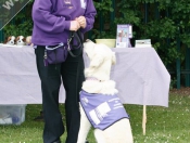 Great Day Out @ St Nicholas School Fete