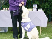 Great Day Out @ St Nicholas School Fete