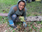 Green Day @ St Nicholas Primary School