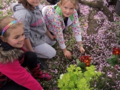 Green Day @ St Nicholas Primary School