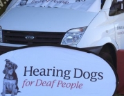 Hearing Dogs Successful Day at the Races