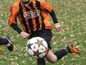 Hodgsons Beat Haltemprice In The East Riding County League