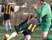 Hodgsons FC Vs Wawne Ferry