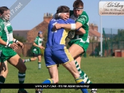 Hull Dockers Too Strong For Blue and Golds