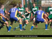 Hull Dockers Too Strong For Blue and Golds