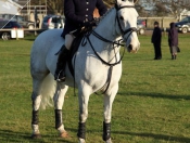 Hundreds Flock To Beverley Westwood For Boxing Day Hunt