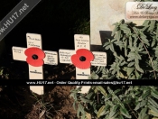 In Memory Of Private John D Baron