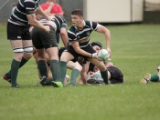 Beverley RUFC