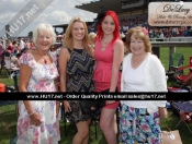 Ladies Day At Beverley Racecourse 2013 Bumper Gallery