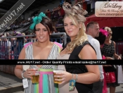 Ladies Day At Beverley Racecourse 2013 Bumper Gallery