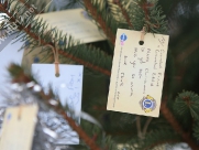 Market Cross Christmas Tree Raises Almost Â£1000