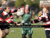 Mini Rugby Festival @ Beaver Park