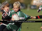 Mini Rugby Festival @ Beaver Park