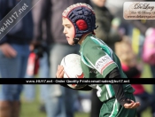 Mini Rugby Festival @ Beaver Park