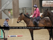 Olympian Blyth Tait Proves Popular At Tickton Hall Stables