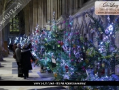 Over 3000 People Visit Minster For Christmas Tree Festival