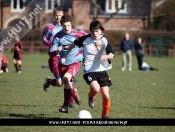 afc-tickton-vs-panthers-010